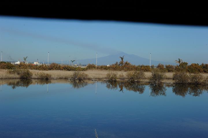 1Saline di Priolo 16.1.2011 (57).jpg